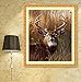 RunFar DIY 5D Diamond Painting Embroidery Cross Stitch Craft Diamond Painting by Number Kits,Sika Deer Pattern,Home Decor Gift 30x40cm