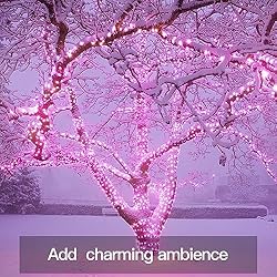 suddus Pink Fairy Lights Battery Operated Outdoor