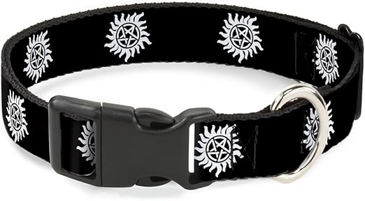 canary birds for sale near me