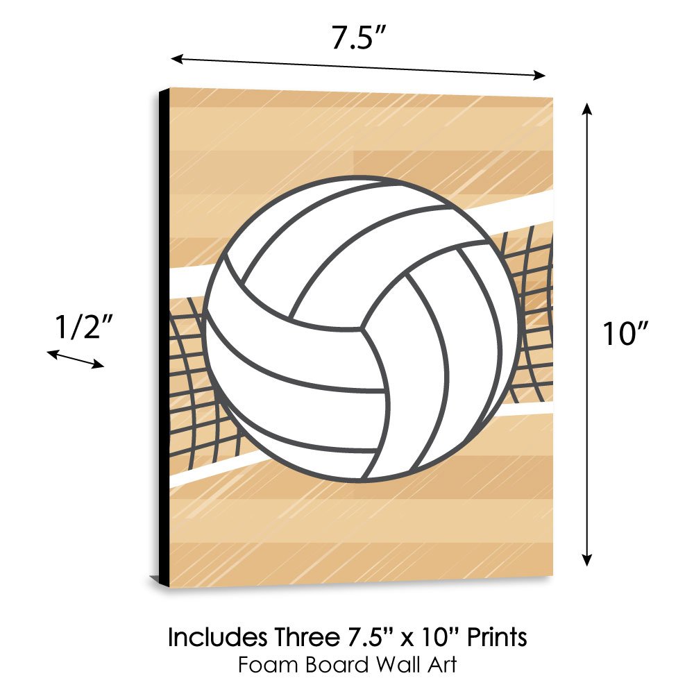 Sport Balls Volleyball In Aqua 11x14 Print Poster Passion For The