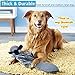 Durable Dog Toys for Aggressive Chewers Indestructible Large Dog Toys Funny Dog Squeaky Toys Stuffed Big Dog Toys Plush Pet Toys Tough Dog Toys for Small to Large Dogs (Donkey - 21.5 inches, Grey)