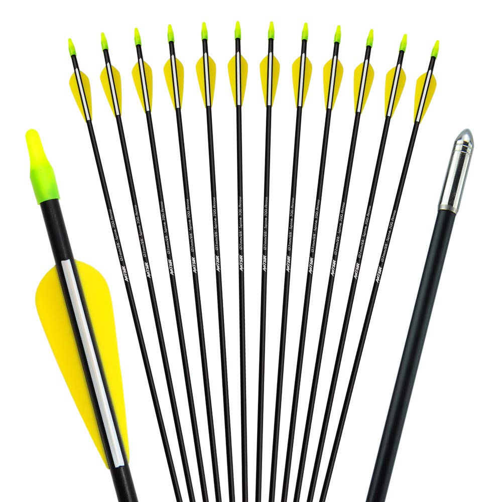 ANTSIR 28 Inch Targeting Arrows Archery Practice Arrows with Safety