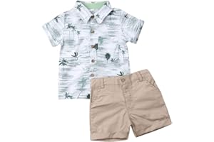 VISGOGO Toddler Baby Boy Flamingo Short Sleeve Button Down Shirt & Casual Shorts Set Summer Outfits 1-6 Years Clothes