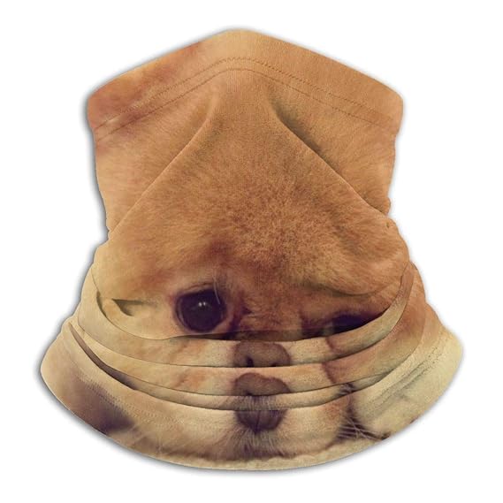 Funny Puppy Printed Balaclavas Microfiber Neck Warmer Mask for Men and
