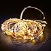 Classyke 48ft Indoor Outdoor String Lights for Patio Garden Yard Deck Cafe Dimmable Weatherproof Commercial Grade [UL Listed] (24FT String Lights)