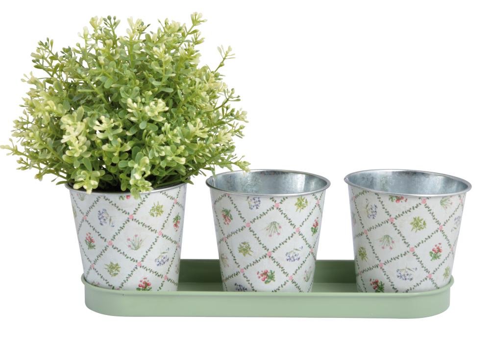 Fallen Fruits BT030 Botanicae Pots on Tray