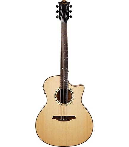 Amazon.com: Bromo BAT 4MCE SG Solid Top Dreadnought Acoustic