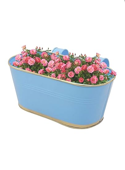 Iron Railing Planter, Planter for Balcony and Garden, Basket, Flower Pot Stand-Blue