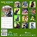 TF Publishing 2017 Baby Animals Mini Calendar (17-2000)