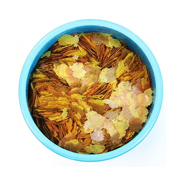 Aquarian Goldfish Food Flakes, 50g
