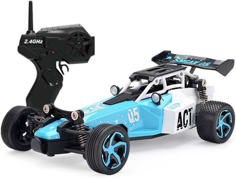 remote control race car track