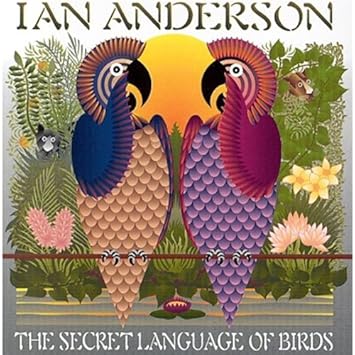 The Secret Language of Birds Anderson,Ian Amazon.de Musik