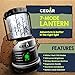 7 Mode Water Resistant Shock Proof Battery Powered Ultra Long Lasting Up To 30 DAYS Straight 300 Lumens Ultra Bright LED Lantern Perfect Camping Lantern for Hiking Camping Emergency Hurricanes Outages
