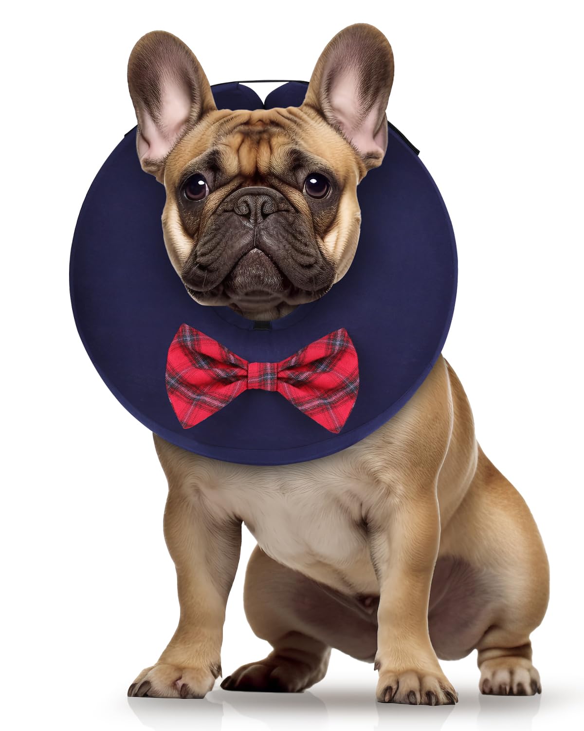 Photo 1 of MIDOG Dog Cone Collar for Large Medium Dogs, Soft Inflatable Dog Cone Alternative After Surgery, Adjustable Protective Recovery Cone - Alternative E Collar Does Not Block Vision (Bow Tie,M+)