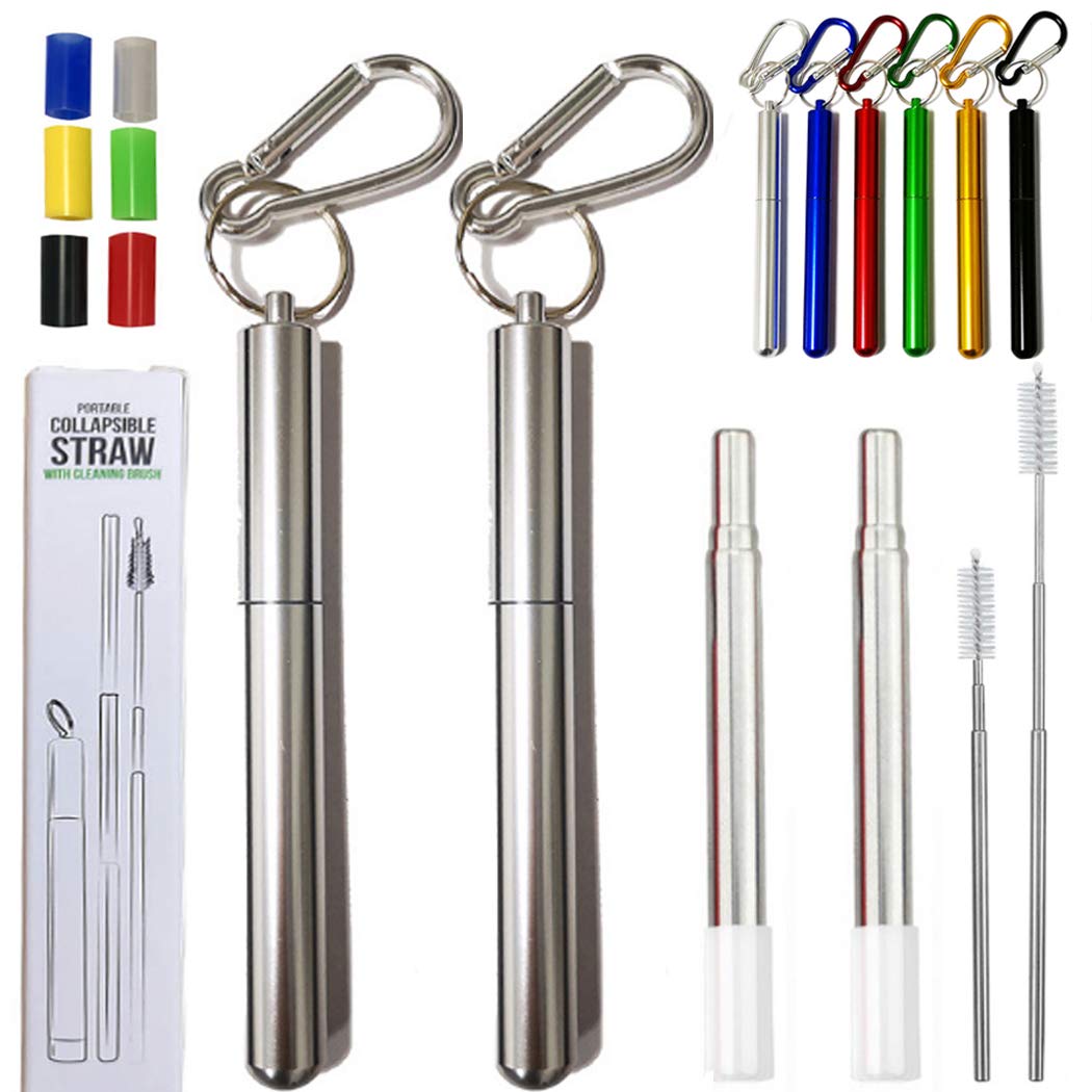 Hoshen 2 PCS Reusable Folding Metal Straws, Portable Telescopic Straws, Including Brushes and Silicone Heads (with Shell) - Silver