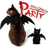 Alier Deals Halloween Costue De Chat Chats Chiens Ailes De Chauve