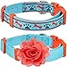 Blueberry Pet Pack of 2 Multiple Designs Mix and Match Sky Blue Dog Collar for Puppies & Small Dogs with Detachable Orange Flower Accessory, S, Neck 12″-16″thumb 2