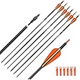 Hunter Ian Archery Carbon Arrow Hunting Arrows 26 28 30 Inch with 100 Grian Removable Tips for Compound Bow & Recurve Bow Practice Shooting