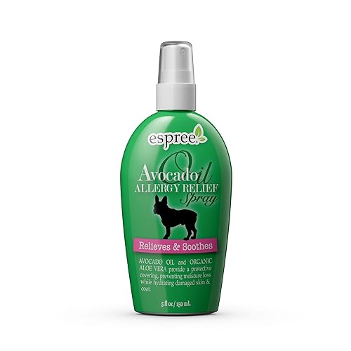 aloe vera erfahrungsbericht Aloe Vera „Alfonso“ – Aloe-Vera-Pflanze in Gärtnerqualität kaufen