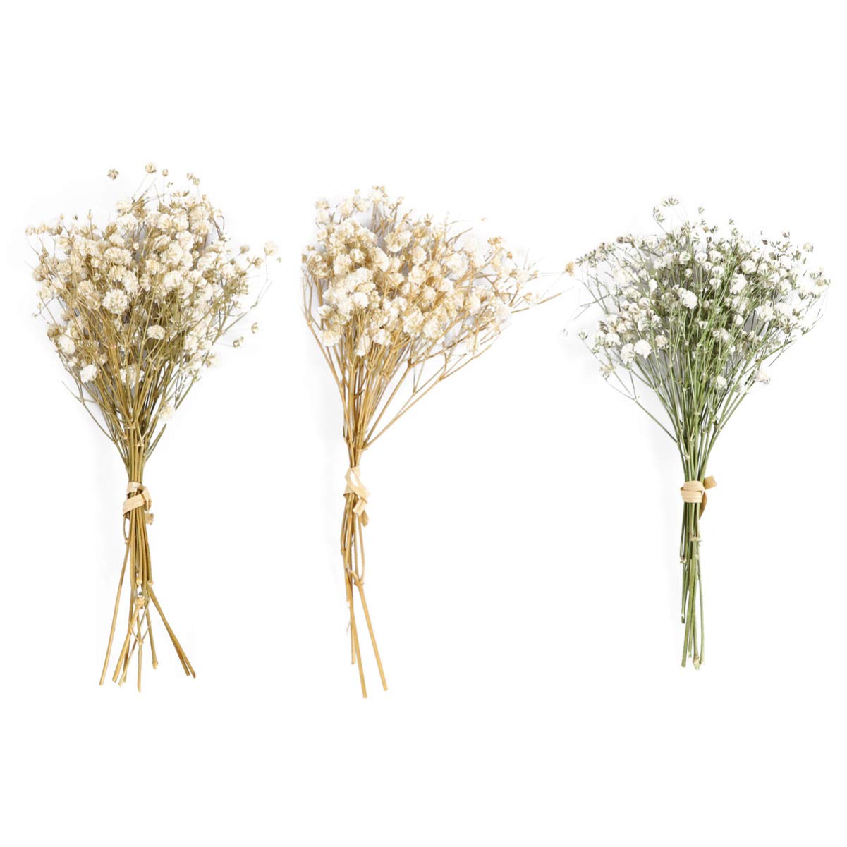 HEALLILY Baby Breath Dried Flowers Bouquet Rustic Flower Bundles Floral Arrangements Supplies Beige, 18*9.5cm
