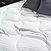 ZINUS 10 Inch Cloud Memory Foam Mattress, King, Fiberglass Free, Pressure Relieving, Mattress in A Box, CertiPUR-US Certified, White