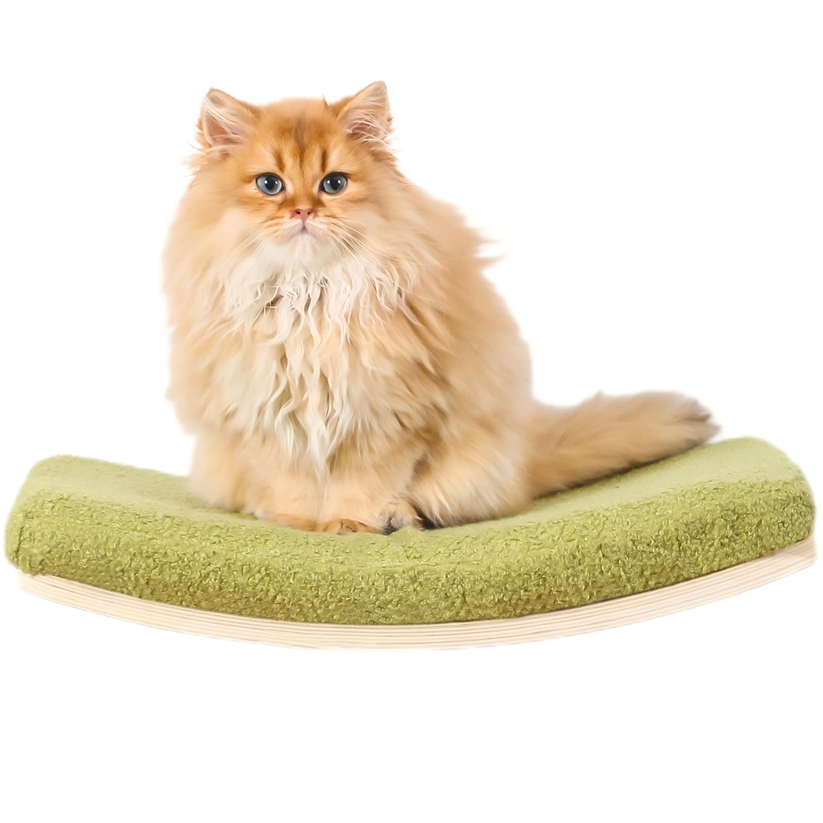 Photo 1 of COOLEX Curved Cat Shelves and Perches, Floating Cat Wall Bed with Comfortable Cushion