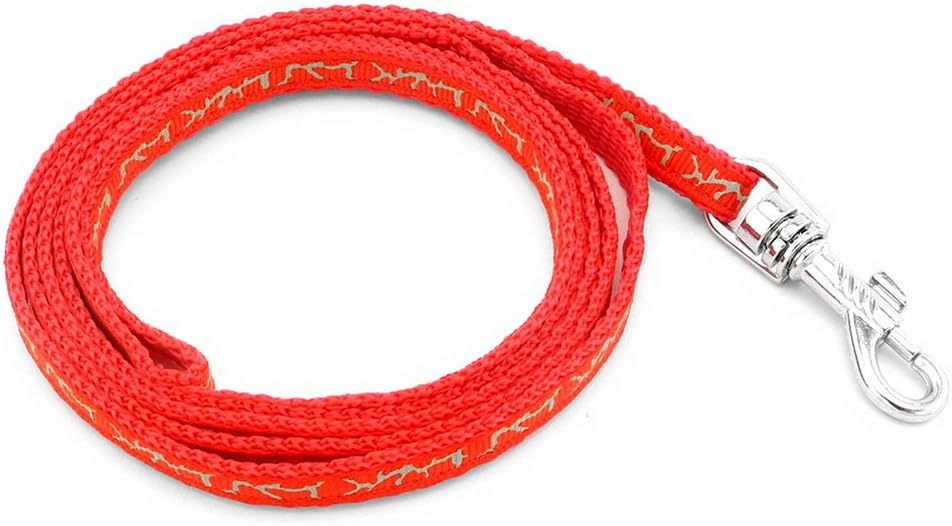 Ranphy Small Dog Halter Harness Cat Basic Harness Pet Collar with Lead Set Adjustable for Walking Training Running Hiking Red - Image 4