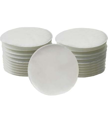 Moldex N95 Particulate Filter 8910: Amazon.com: Tools & Home