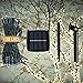 DeVida Solar String Lights 120 Warm White LED, Easy to Install, Automatically Turns on at Night, Outdoor Waterproof, 55 ft Set Includes 13 ft Lead Wire Plus 42 ft Lighted Strands for Tree Wrap