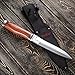 Grand Way Hunting Knife - Fixed Blade Survival Bowie Stainless Steel Knife with Wood Handle - 2654 WP