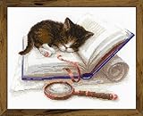 RIOLIS 1725 - Kitten on the Book - Counted Cross Stitch Kit 11.75