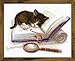 RIOLIS 1725 - Kitten on the Book - Counted Cross Stitch Kit 11.75