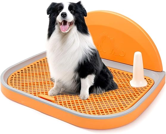 dog wee tray
