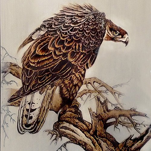 JIAN YA NA Pyrography Pen Rendering Pen Lightweight Non-Slip Heat-Resistant Replacement Pen for 60W-100W Pyrography Machine