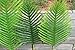 Pack of 4 Large Artificial Palm Tree Leaves 2.85 and 3.50 Feet for House Office Decor(1230#)