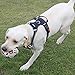 Menkar Dog Harness, No Pull, Adjustable, Outdoor Walking, Pet Vest, Reflective, Easy Control, for Large Dogs