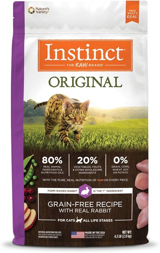 humane animal shelter