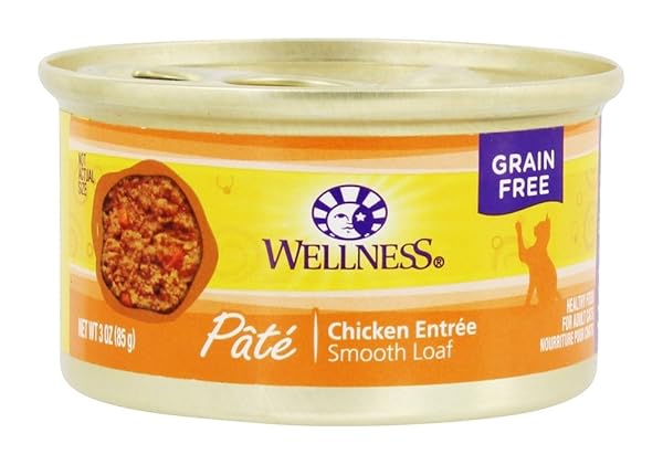 WELLNESS CHICKEN FORMULA CAN CAT (PACK OF 96)