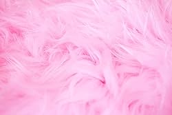 Fruidles Cotton Candy Blue and Pink Party Flavors