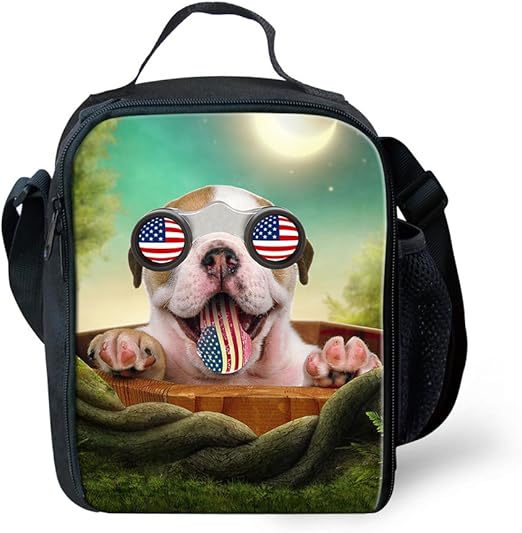 thermos lunch bag amazon