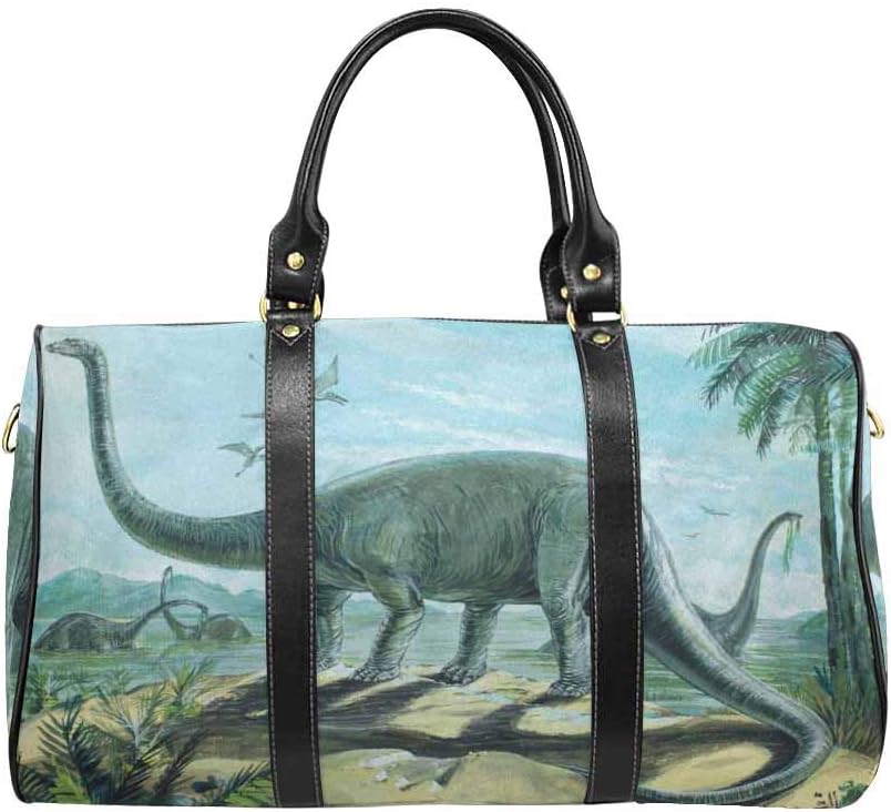 Interestprint Waterproof Travel Bag Sports Duffel Tote Overnight Bag Diplodocus One Of The Longest Of All Dinosaurs Travel Accessories Packing Organizers Millenniumpaintingfl Com
