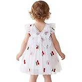 TTYAOVO Baby Girls Tulle Dress Butterfly Birthday Party Dresses