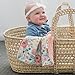 Minky Ultra Soft Baby Blankets Security Blankets With Printed Pink Blossoms Design by Graced Soft Luxuries