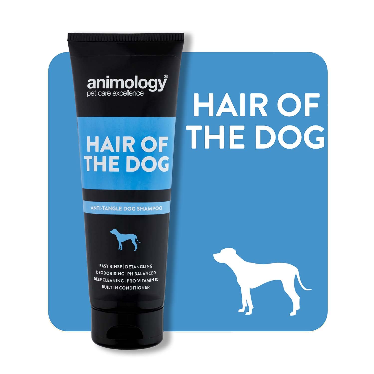 View 2