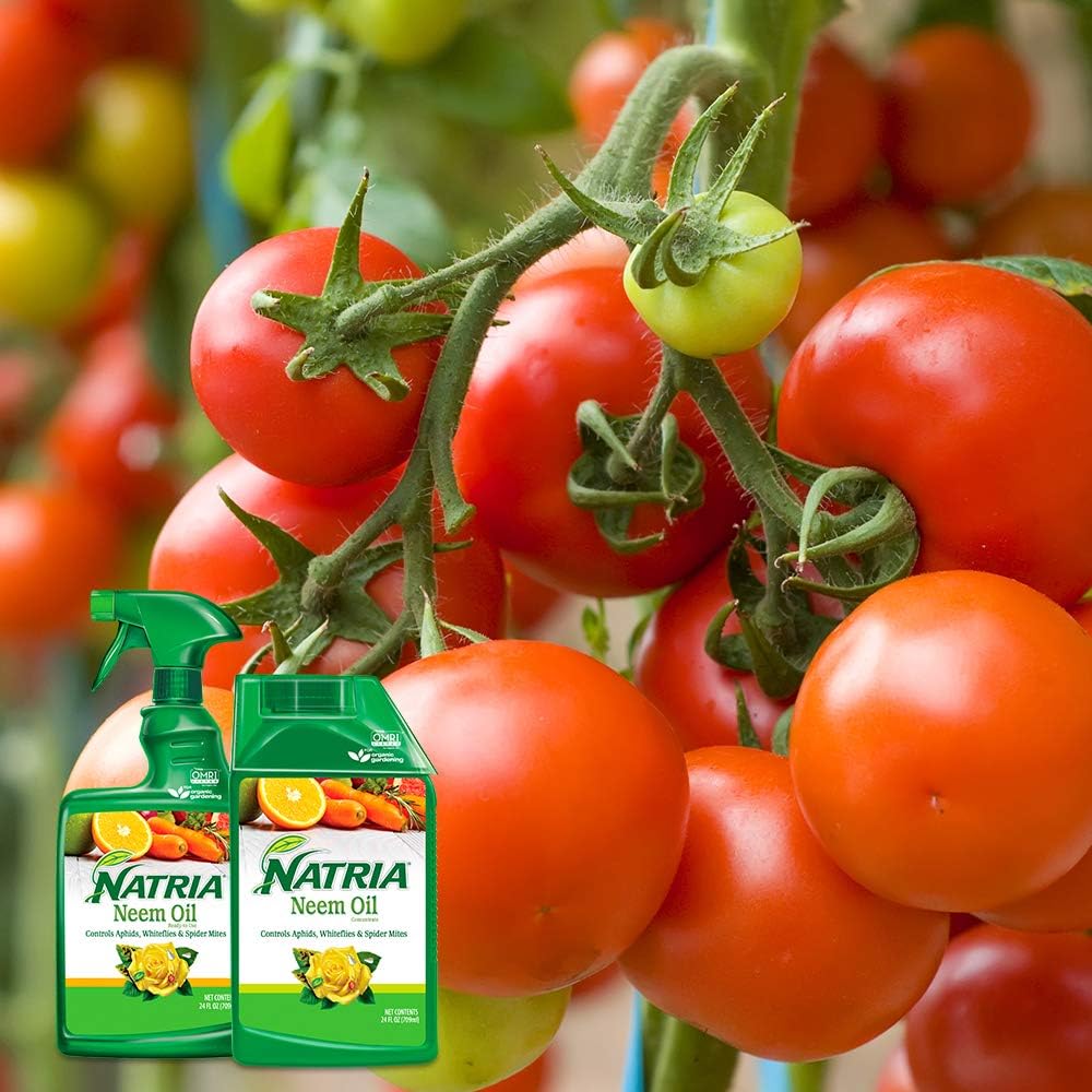 Natria 706250A Neem Oil Pest and Disease Control, 24-Ounce, Ready-to-Use : Garden & Outdoor