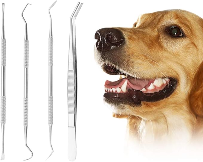 Kits Dentaires pour Chien,Kit Detartrage Dentaire,Trousse à Outils D
