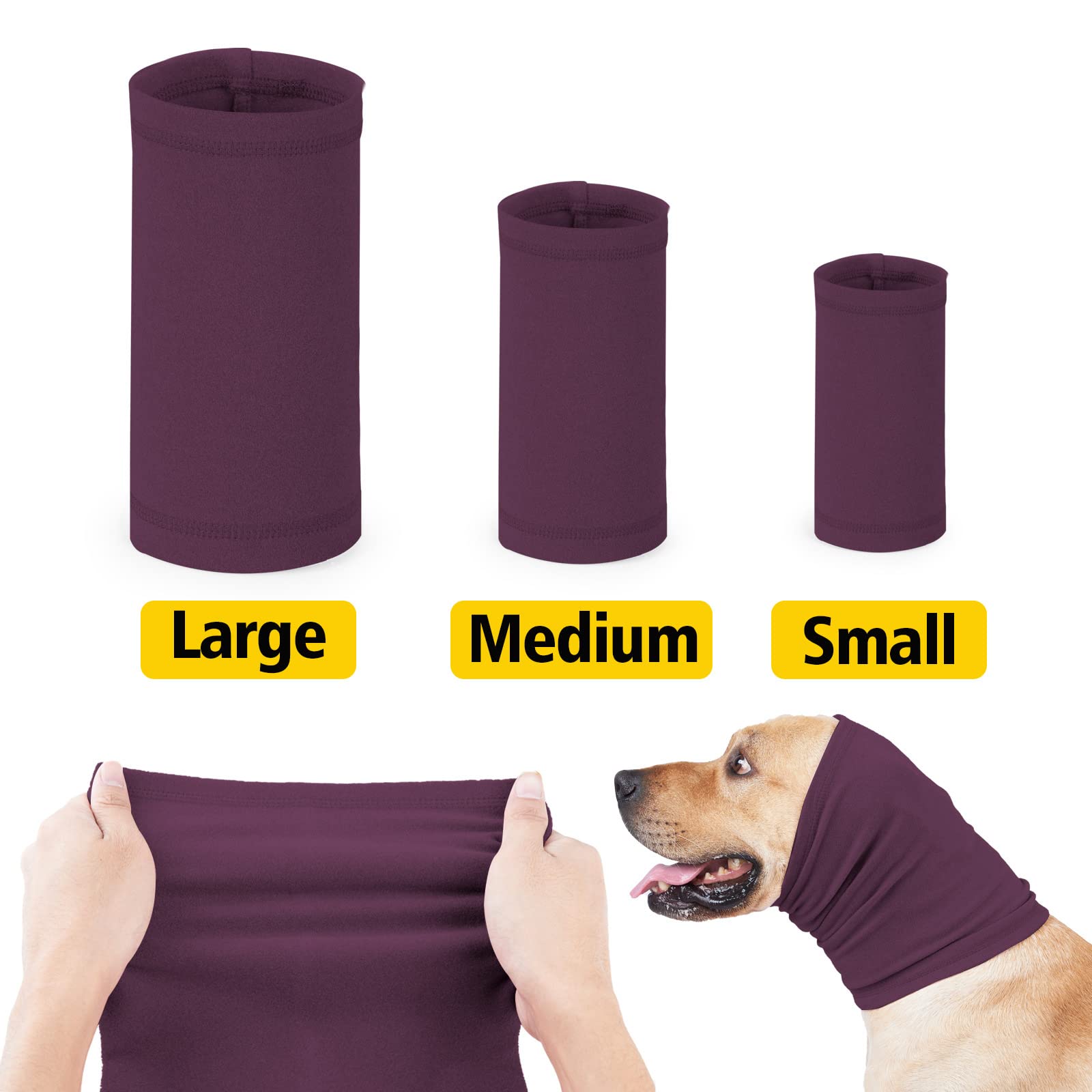 View 4