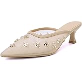 XUNHGAXE Women's Pointed Toe Mesh Mule Slip-On Kitten Heels - Rhinestone/Flower Embellished, Multiple Colors (Apricot/Black/Light Blue/Tan/Red/White/Nude) - Dress and Party Footwear