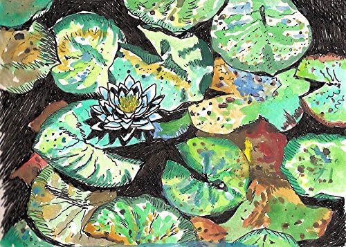 "Lilypads" Lilypad Original Watercolor Print