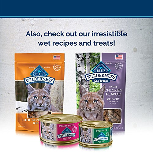 BLUE Wilderness Adult Weight Control Grain Free Chicken Dry Cat Food 11-lb